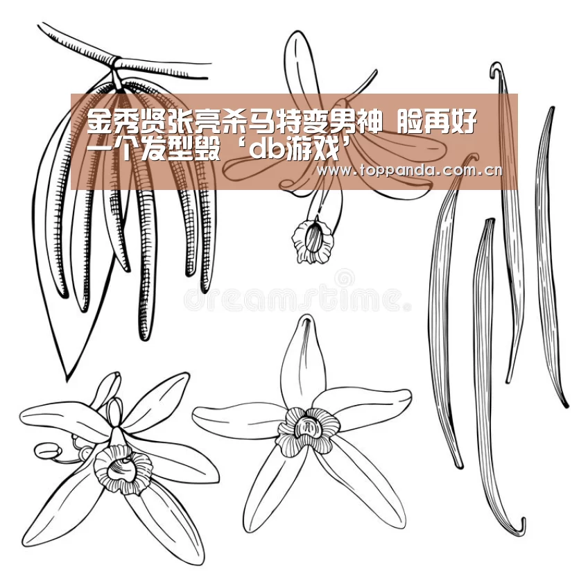 金秀贤张亮杀马特变男神 脸再好一个发型毁‘db游戏’(图2) 熊猫体育