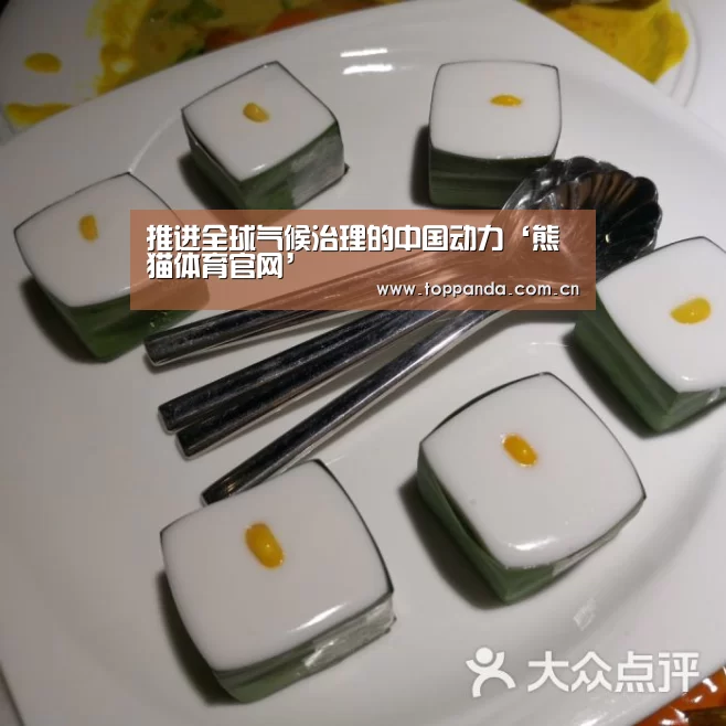 推进全球气候治理的中国动力‘熊猫体育官网’(图2) db游戏