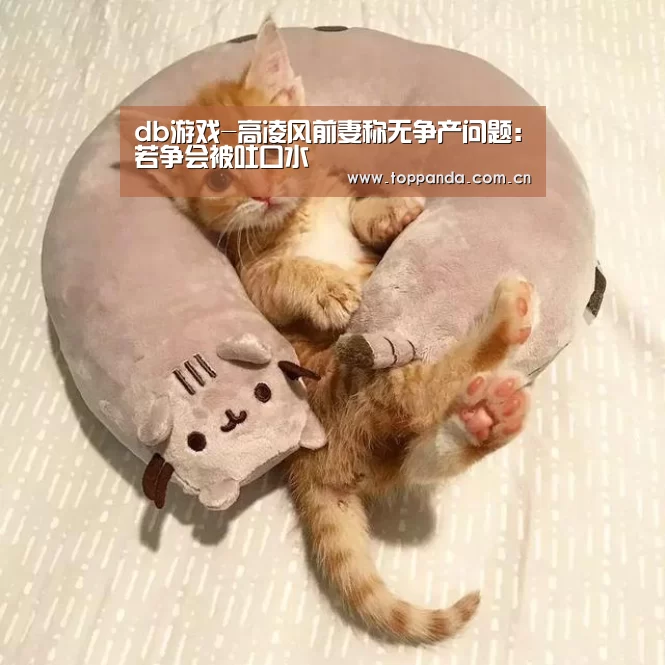 db游戏-高凌风前妻称无争产问题:若争会被吐口水(图2) 熊猫体育